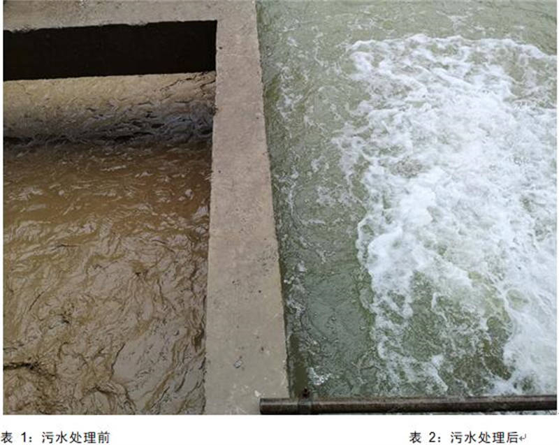 澳门红姐工作室